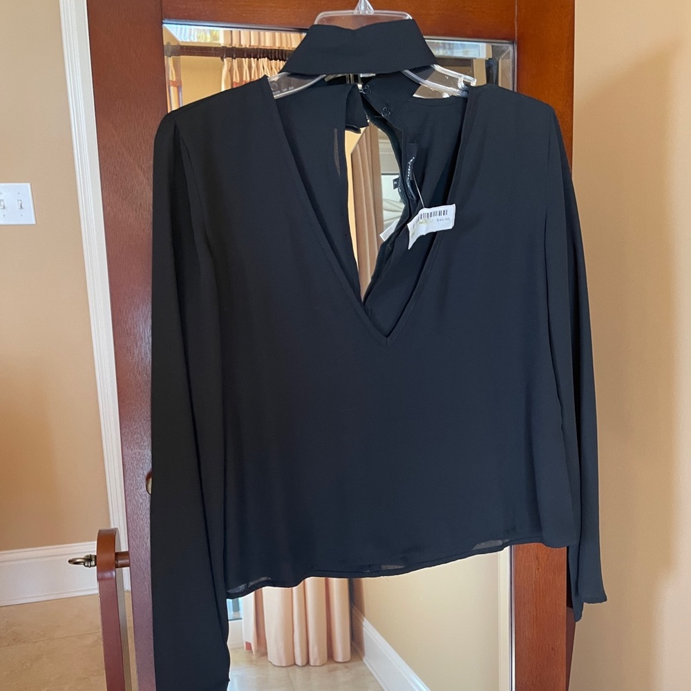 Olivaceous Black Top Sheer NWT